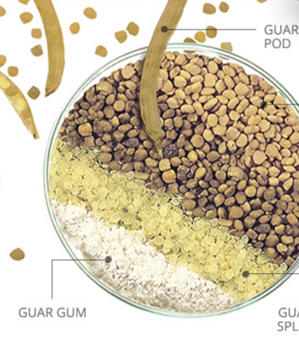 guar-gum-benefits-dosage-side-effects